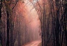 韦德体育官网：重磅！勇士交易得到世界杯MVP 本赛季场均18+7.