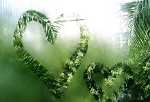 巴雷拉：不想再经历无缘世界杯的遗憾 希望意大利和国米赢得一切.