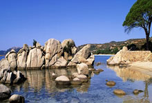 特里:帕尔默耐力是切尔西队内最强;羡慕AZP有世俱杯冠军.